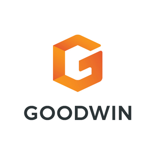 Goodwin protector LLP